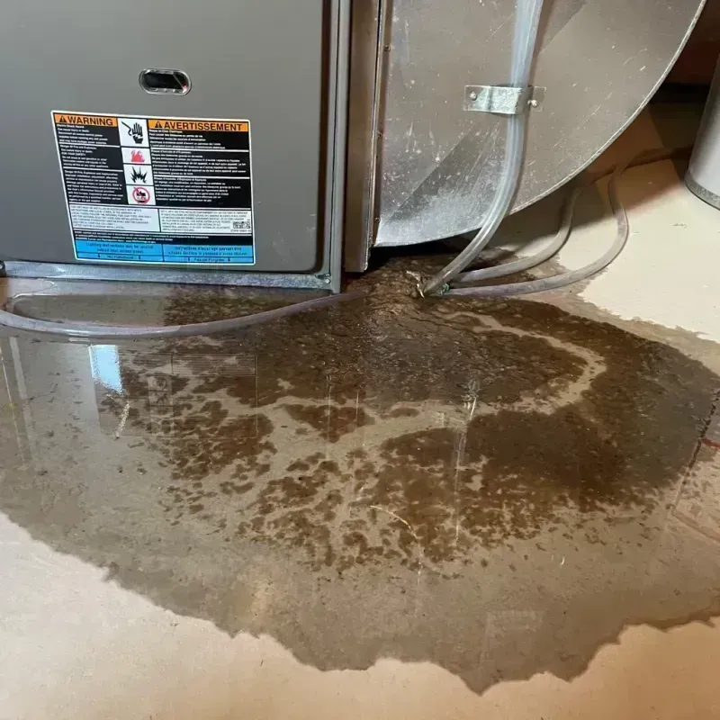 Appliance Leak Cleanup in Huntsville, MO